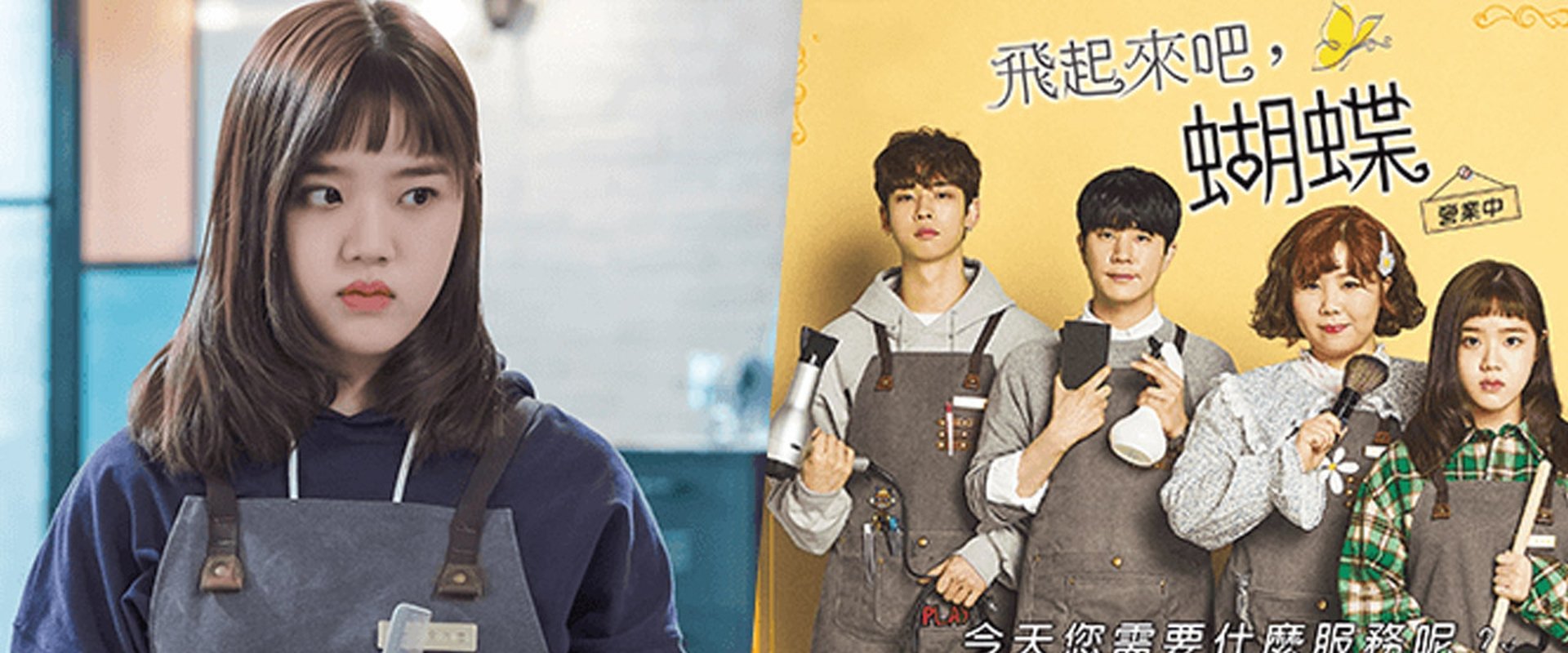 Ver dorama Flying Butterflies online sub español HD Doramasflix