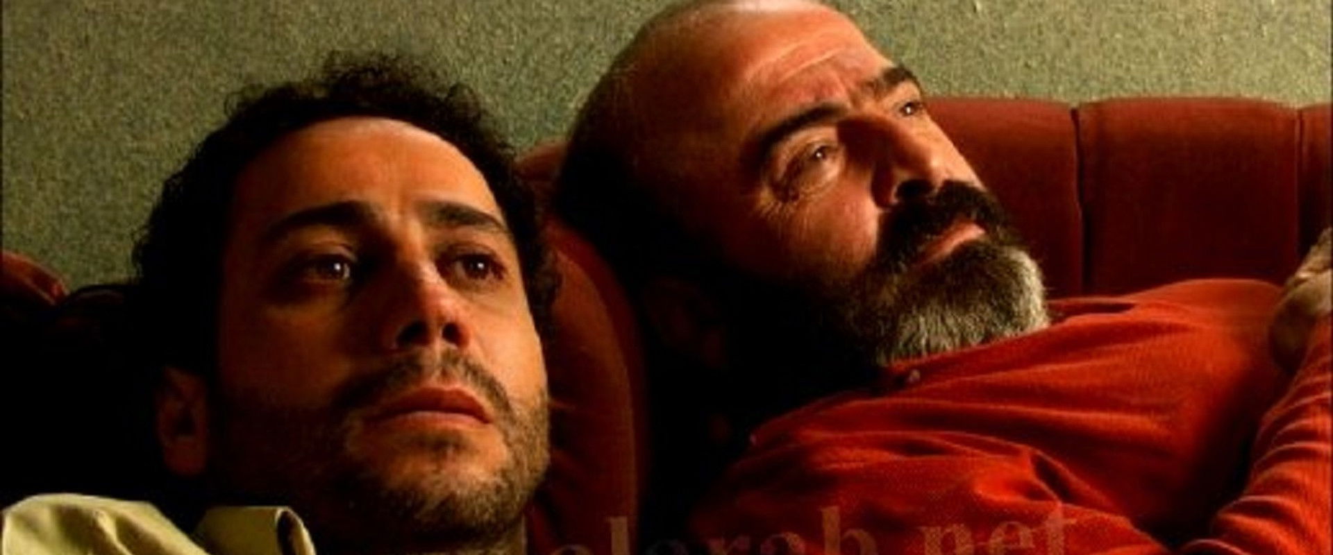 Rodaj's banner image