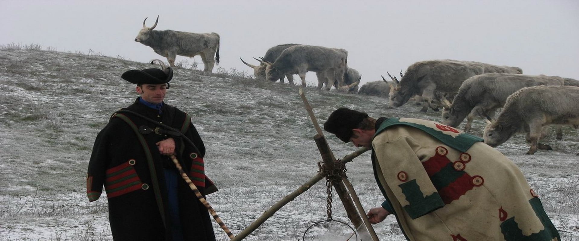 Wild Hungary – A Water Wonderland