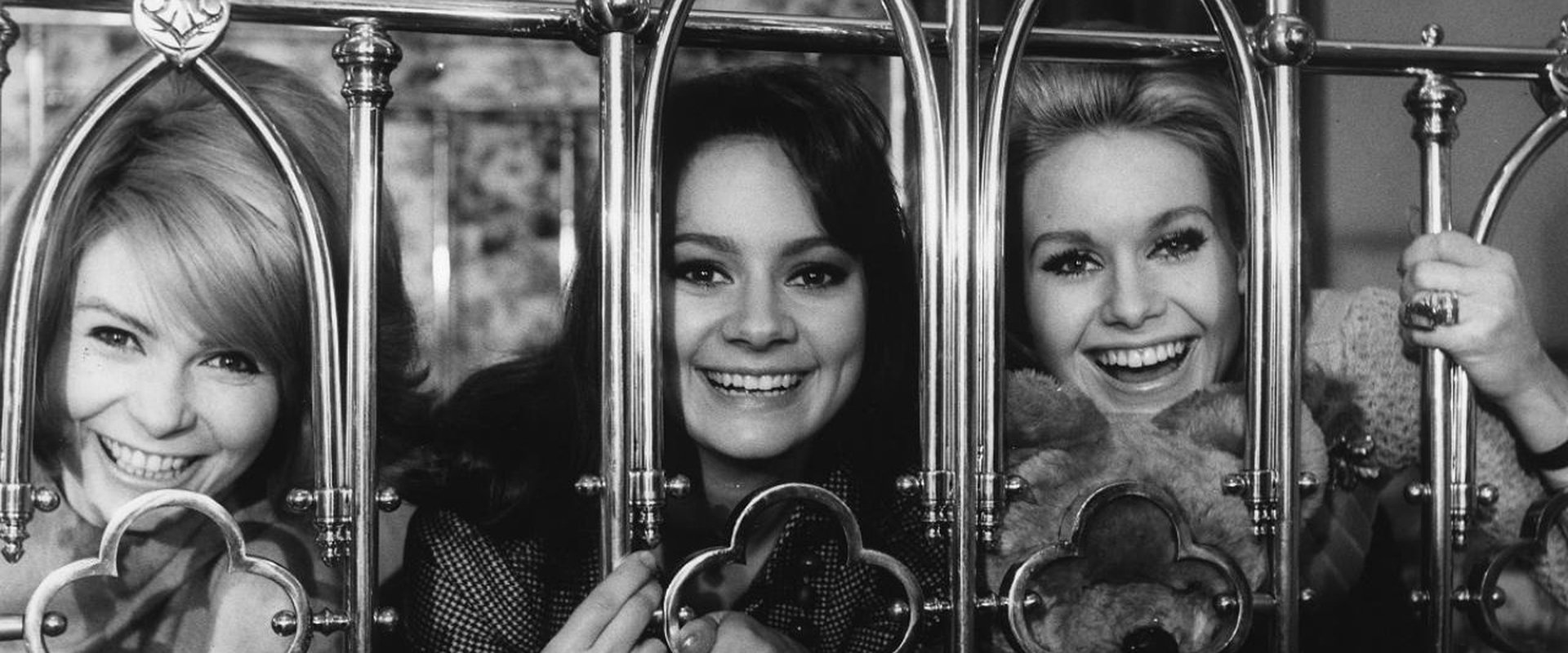 The Pleasure Girls