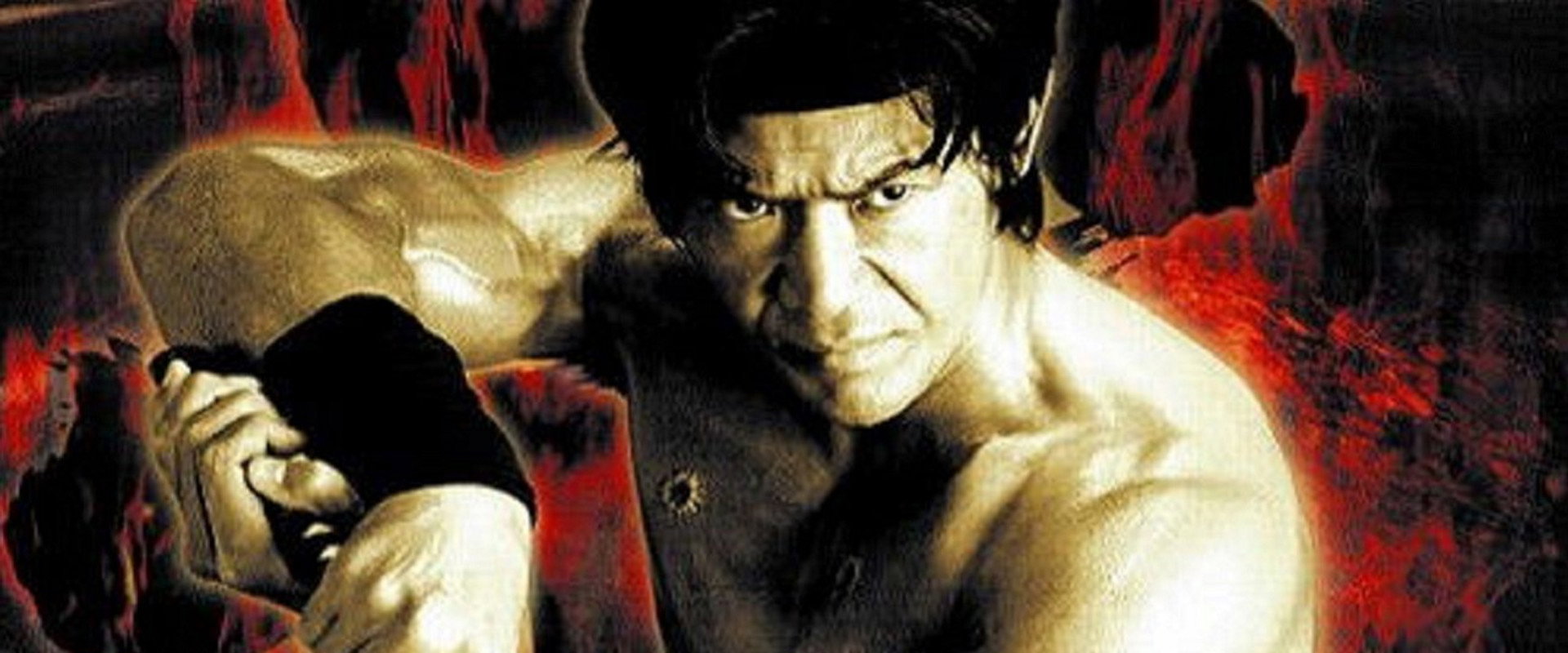 Shadow Fury's banner image