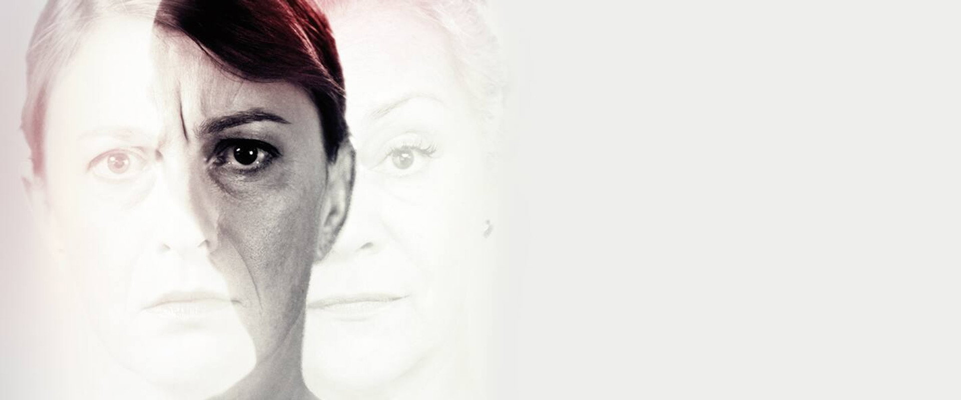 A Blue Flower's banner image