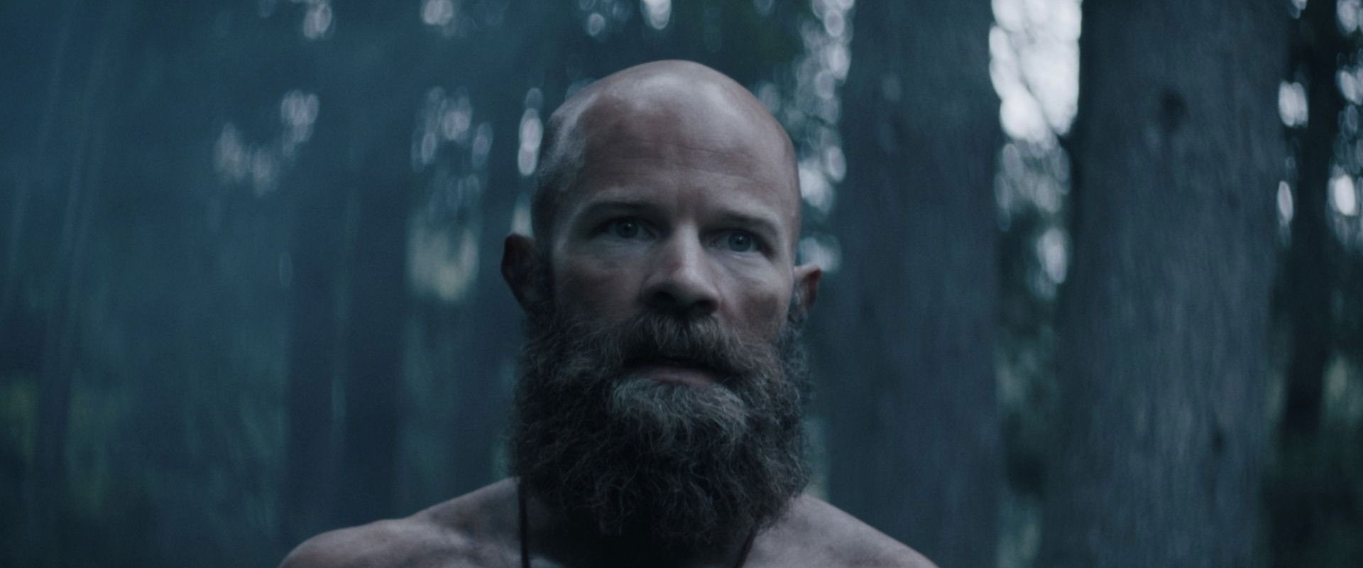 Outcast Forest's banner image