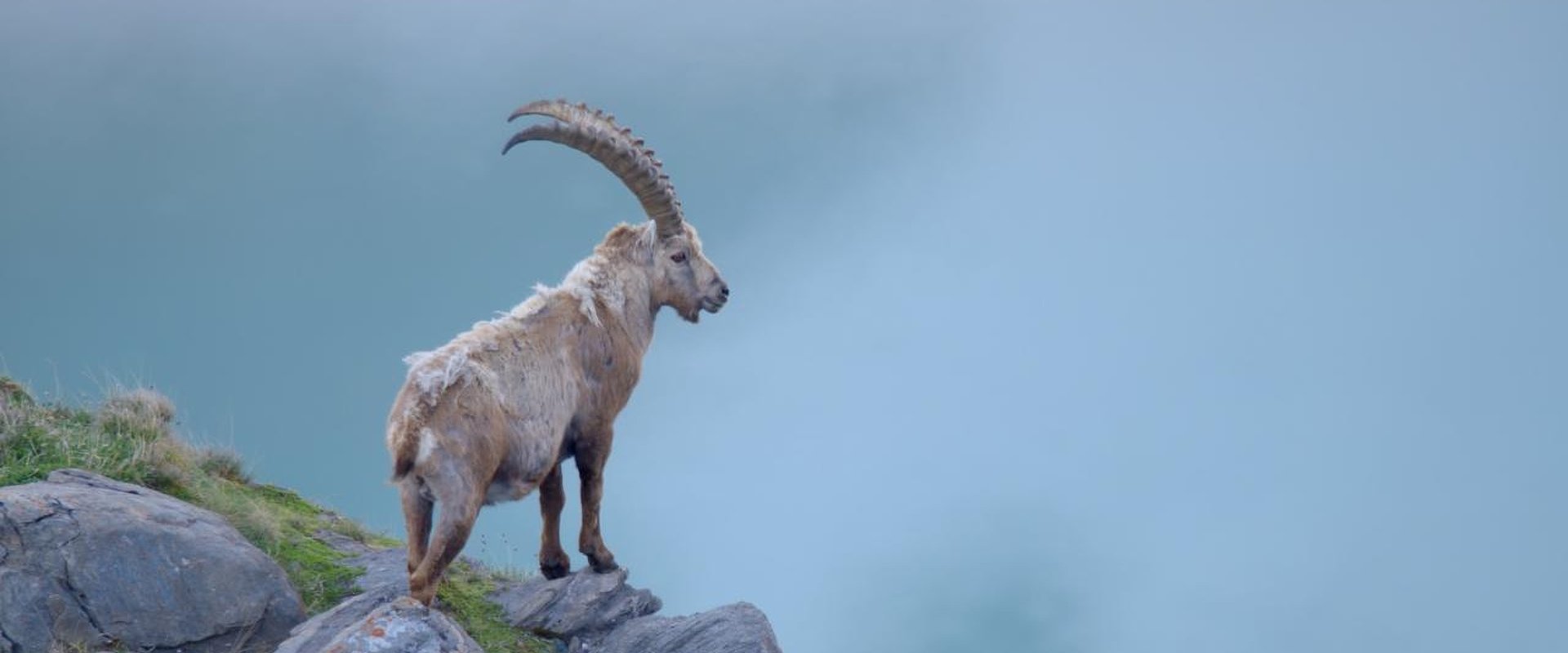Austria's Wild Heritage - One Country Six National Parks