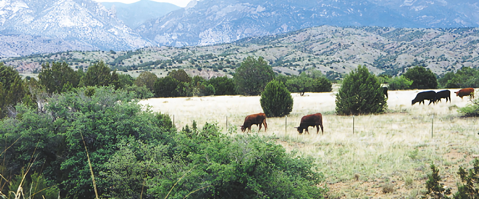 Whose Home on the Range?