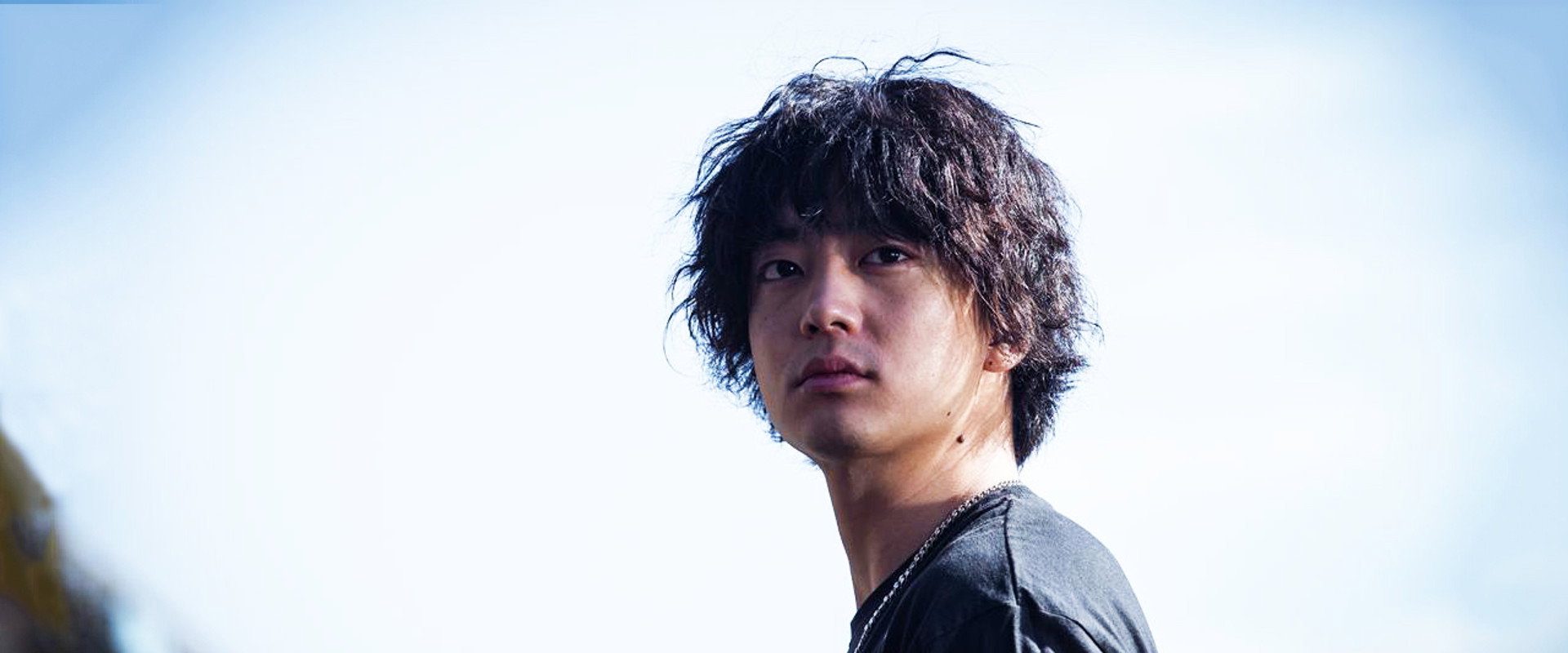 Winter Rose's banner image