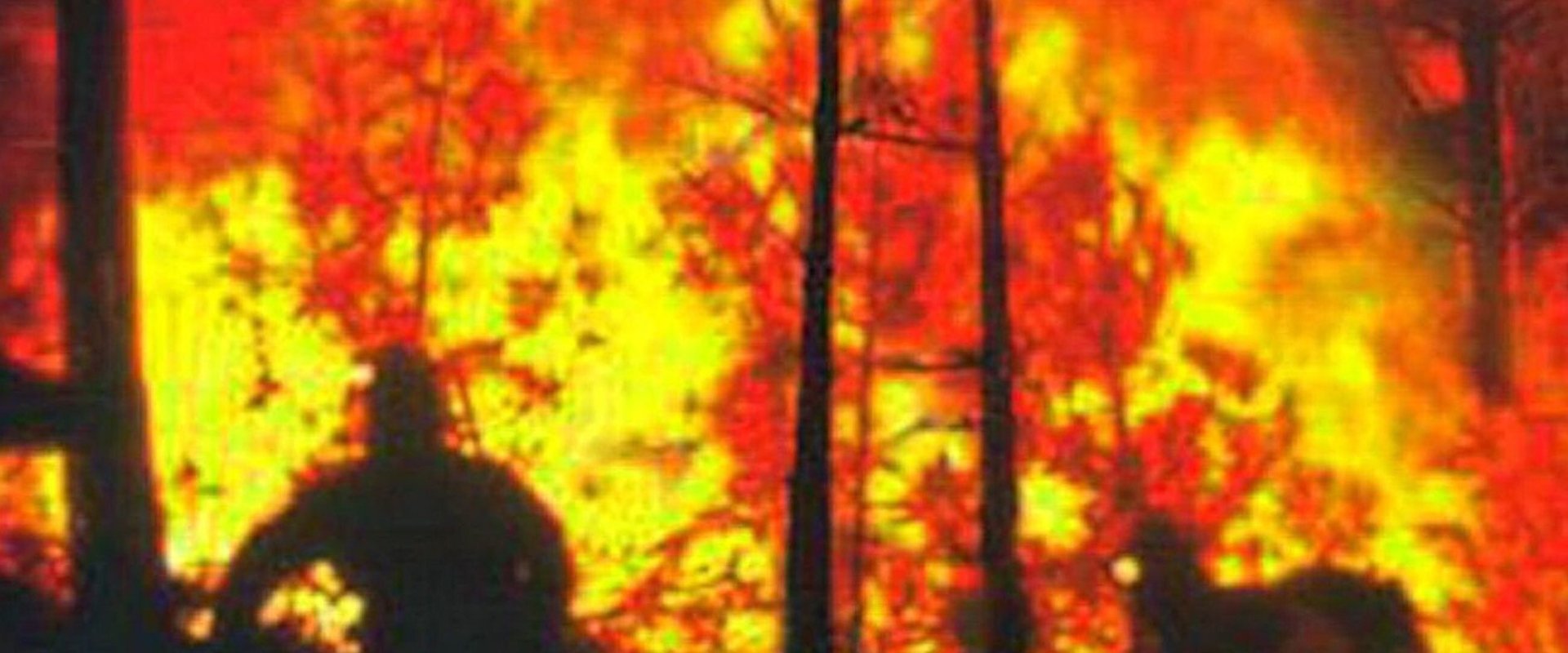 In the Line of Duty: Smoke Jumpers