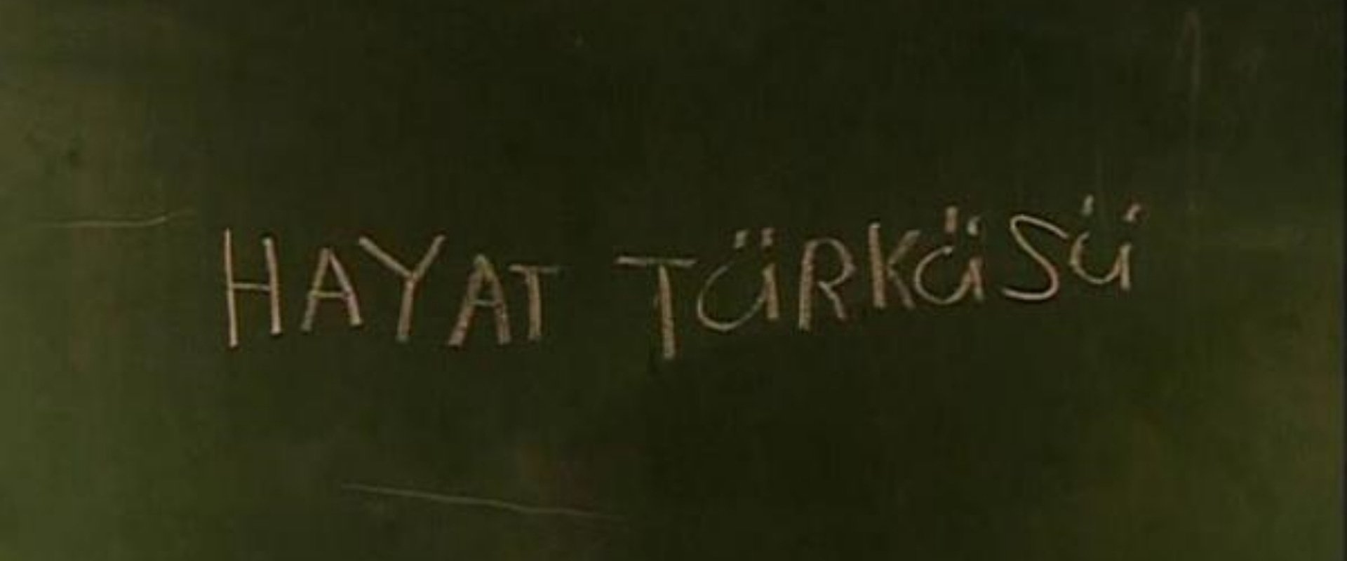 Hayat Türküsü