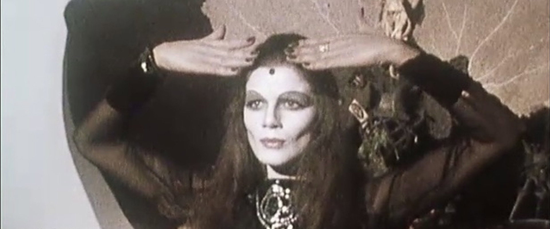 Vampira's banner image