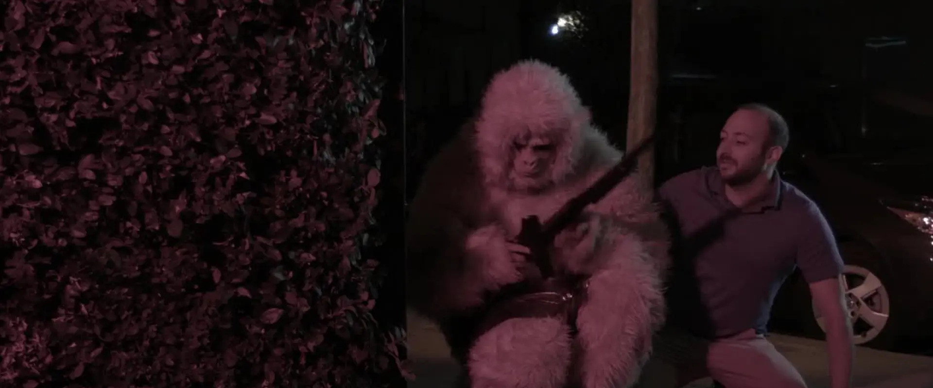 Another Yeti a Love Story: Life on the Streets's banner image