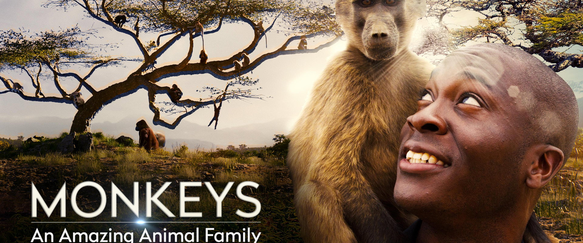 Monkeys: An Amazing Animal Family