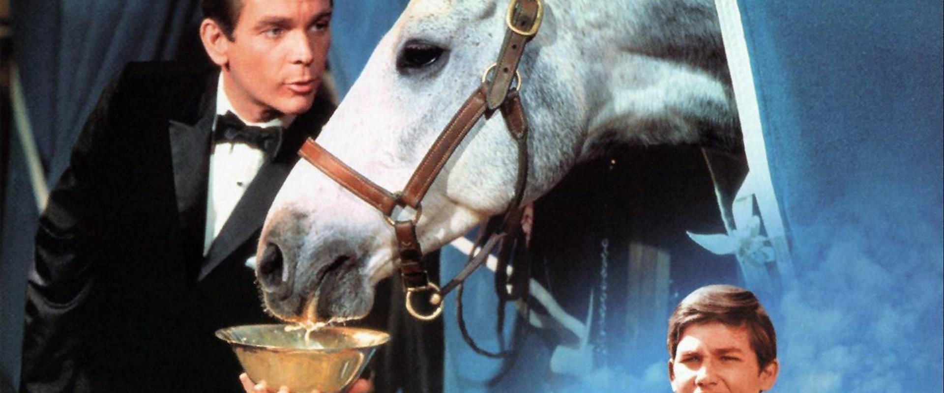 The Horse in the Gray Flannel Suit