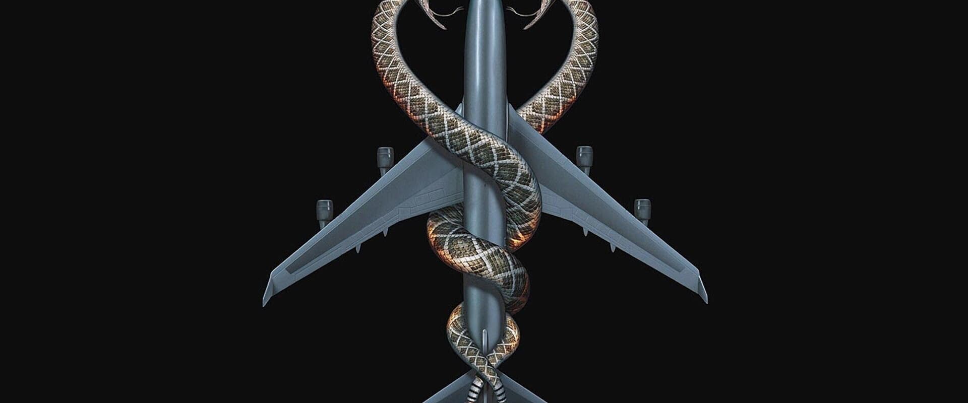 Snakes on a Plane