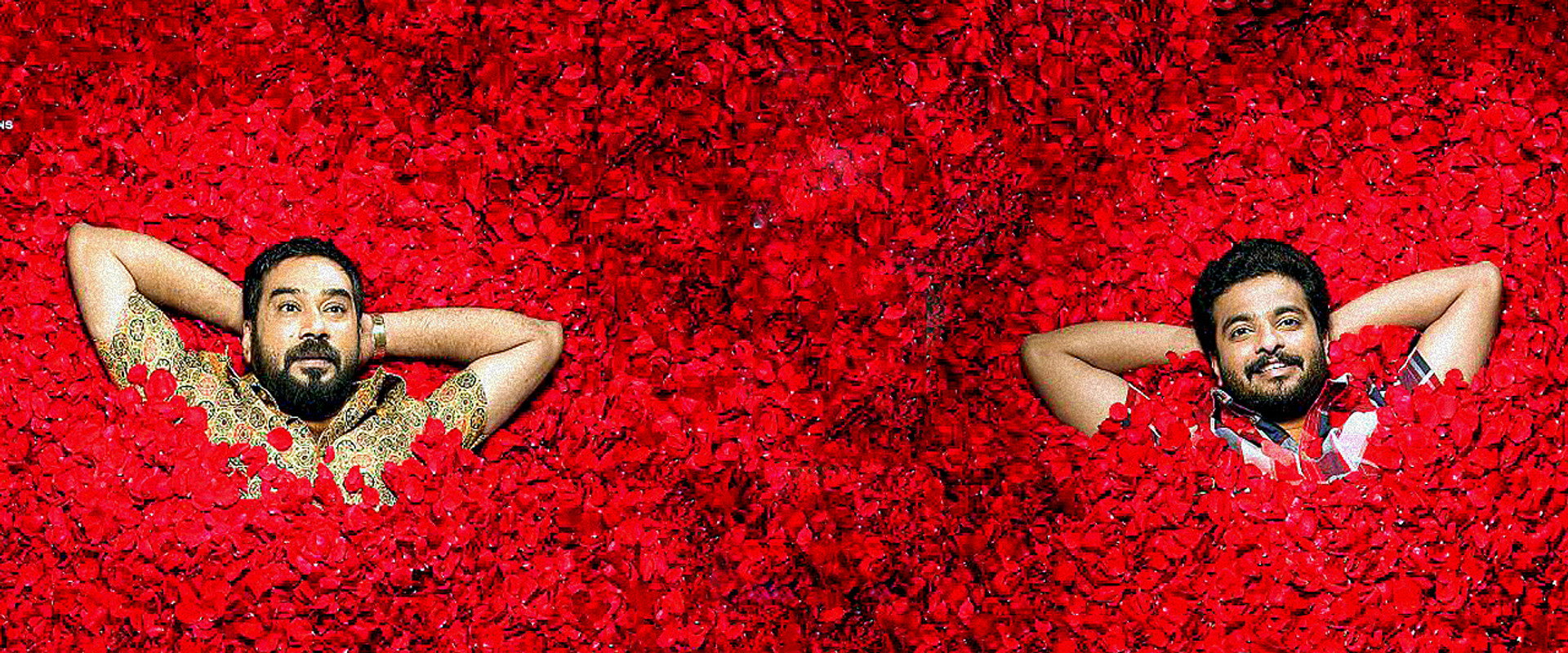 Rosapoo's banner image