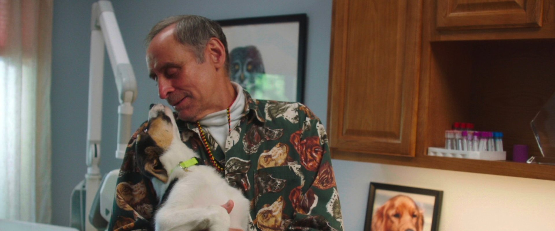The Dog Doc