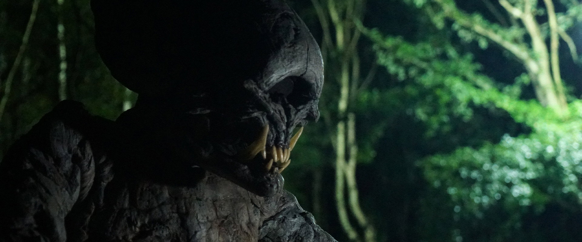 V/H/S: Video Horror Shorts