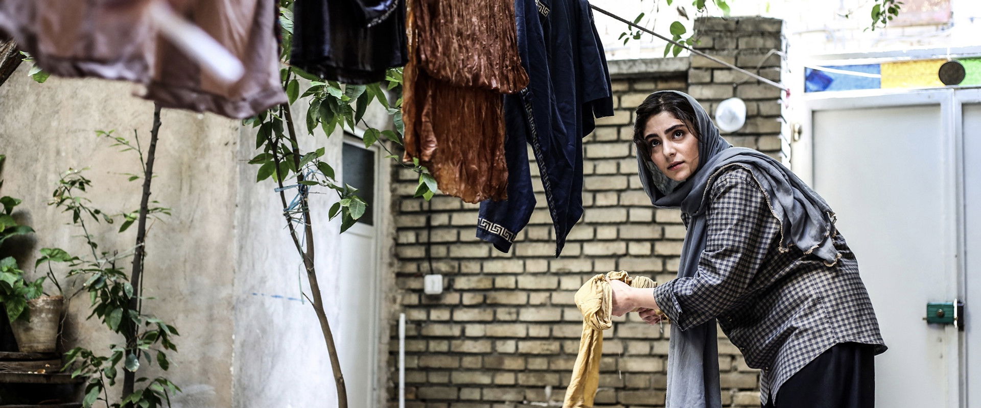 Seven and a Half's banner image