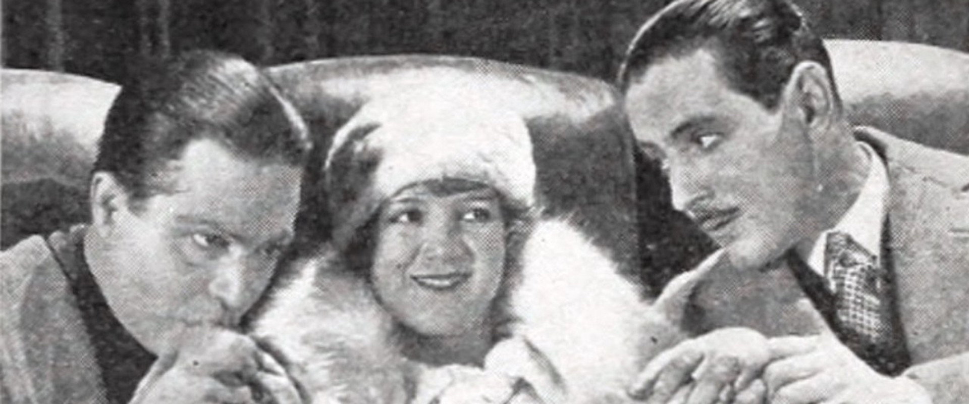 The Average Woman's banner image