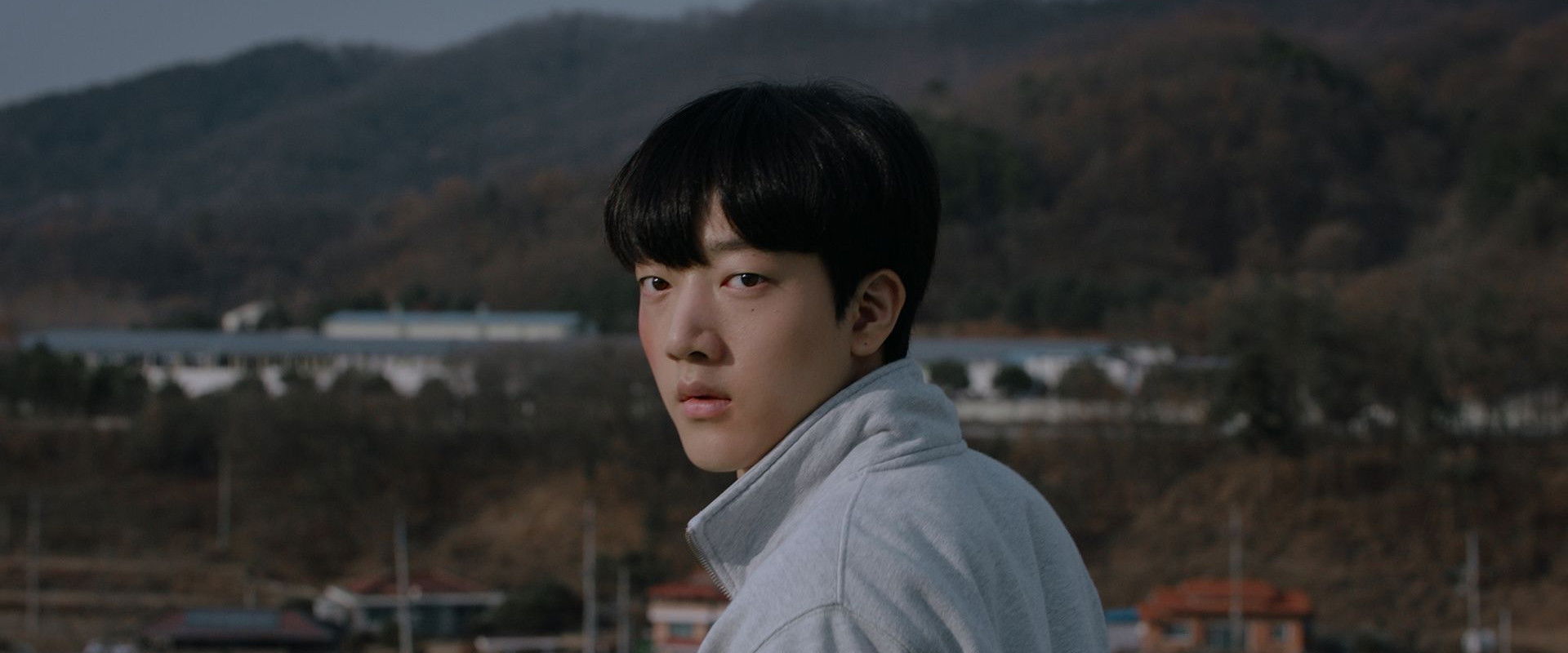 The Loop's banner image