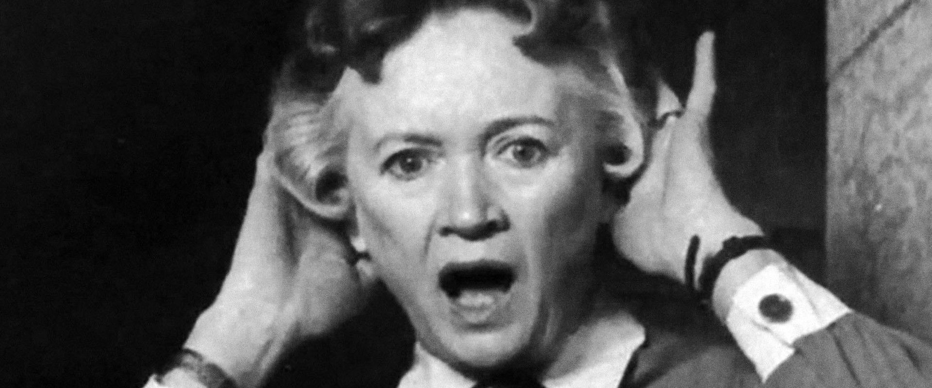 La fièvre du castor's banner image