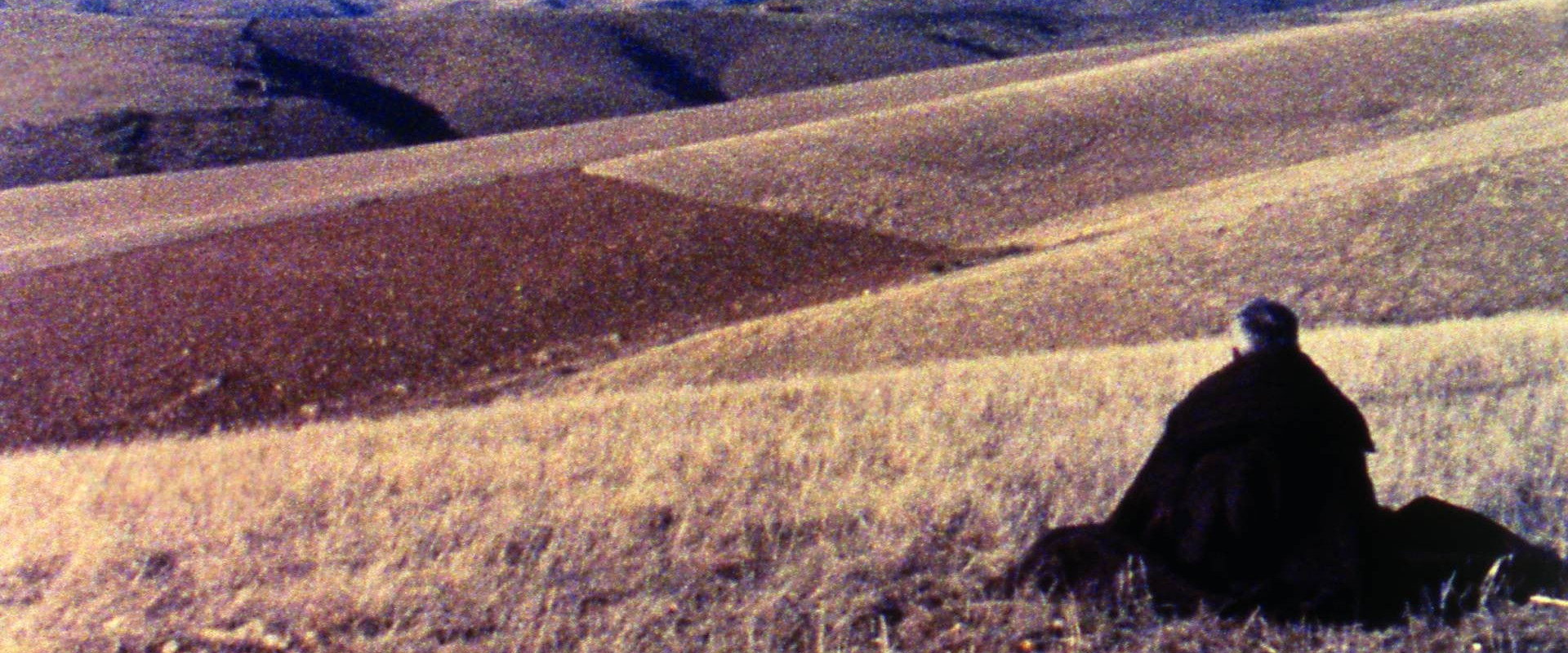 Tras-os-Montes's banner image