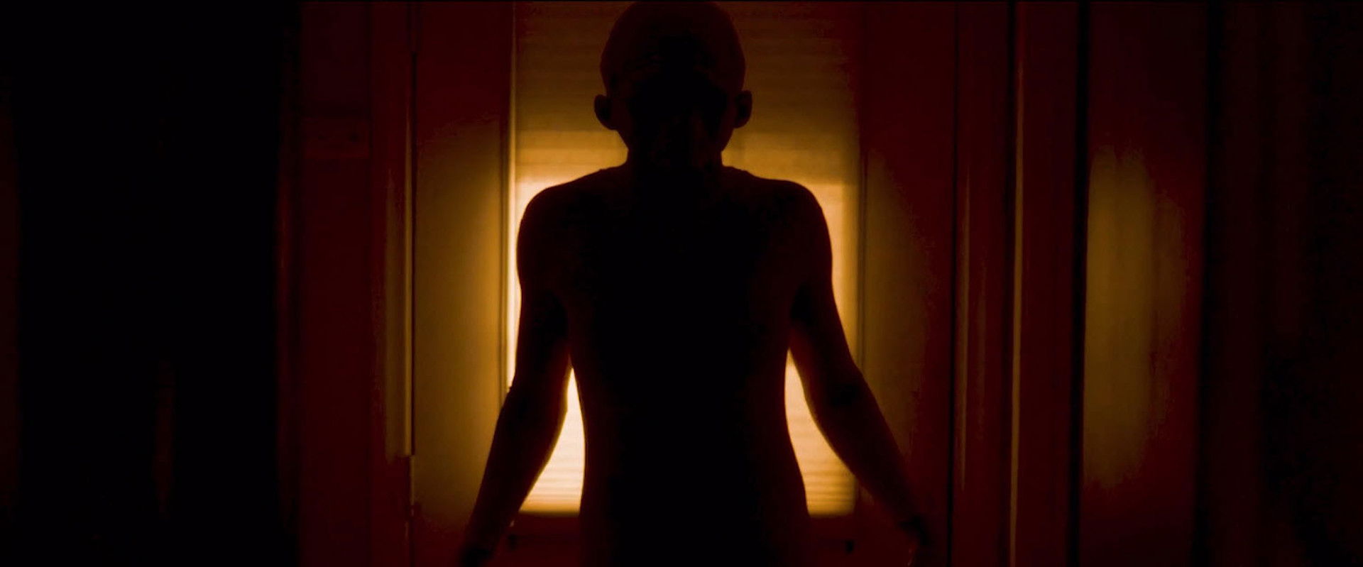 Dodah's banner image