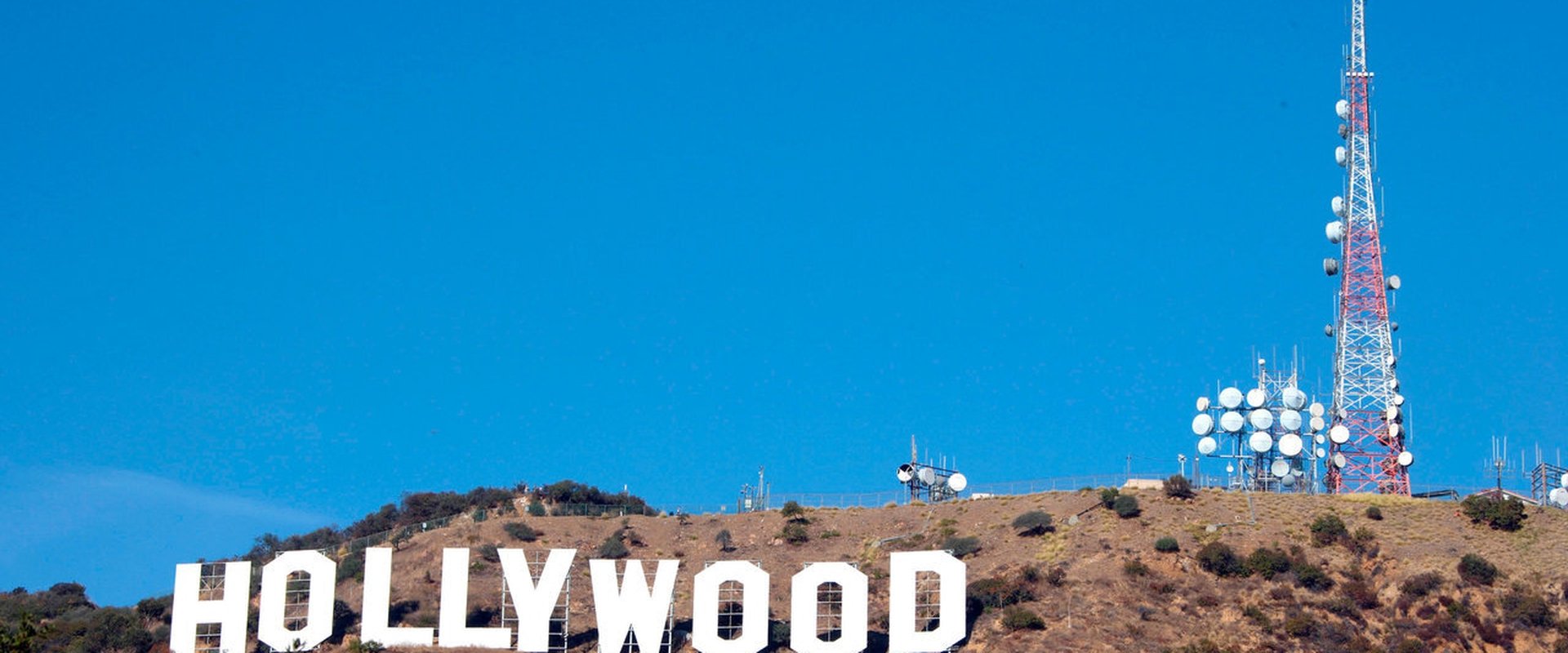 Hollywood's Stories