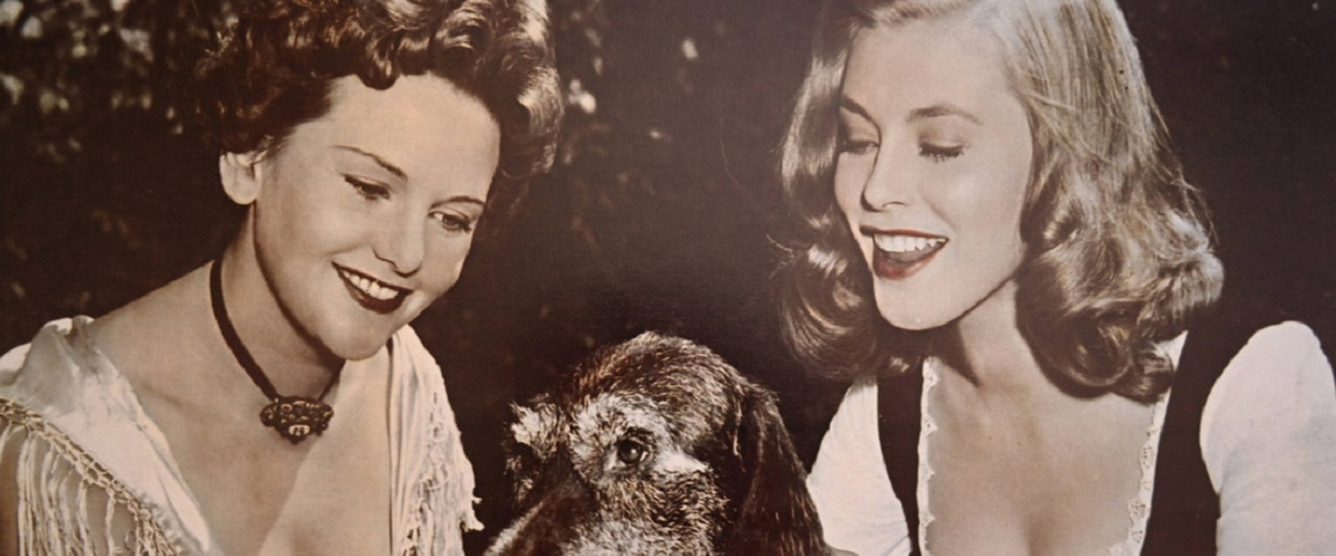 Heimatland's banner image