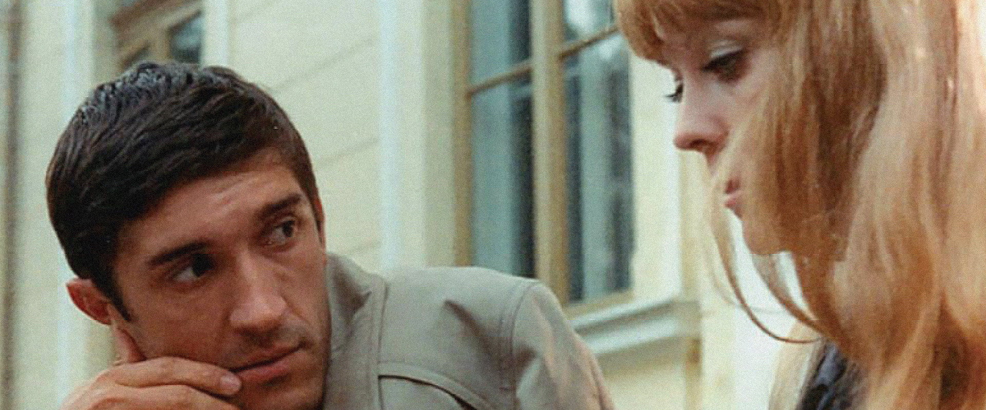 Red Apples's banner image