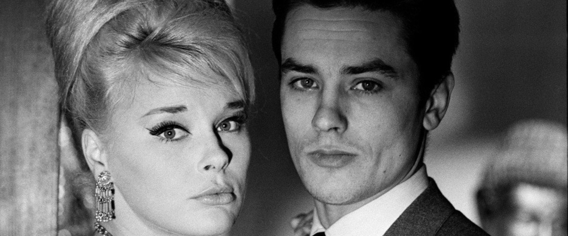 Le Chien's banner image