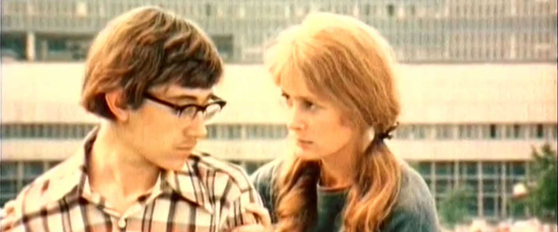 The Grasshopper's banner image