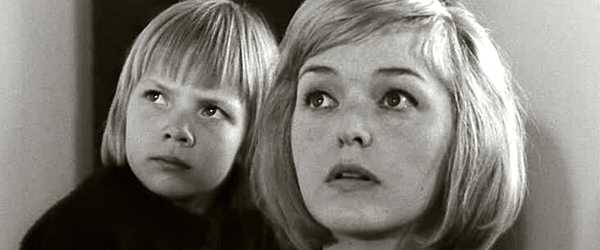 Vaaksa vaaraa's banner image