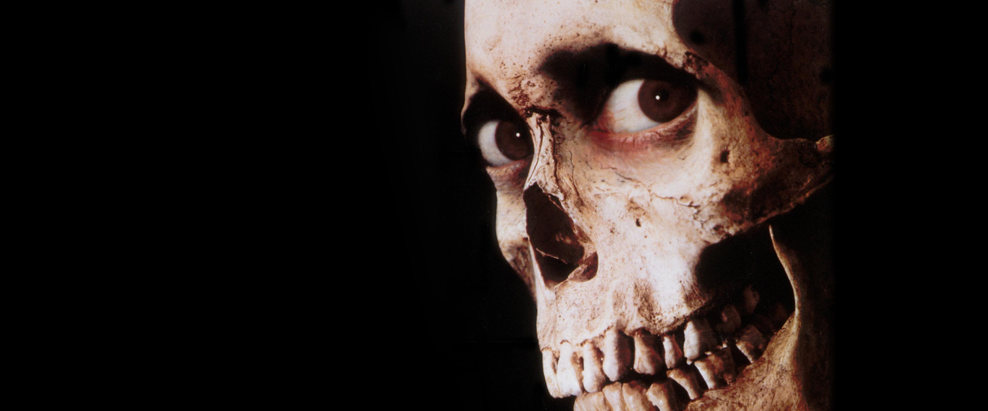 Terroríficamente muertos