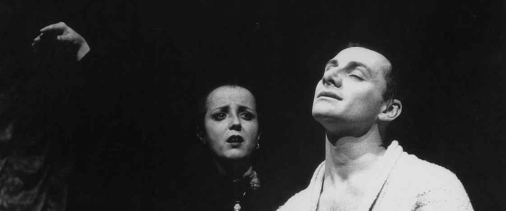 Racek's banner image