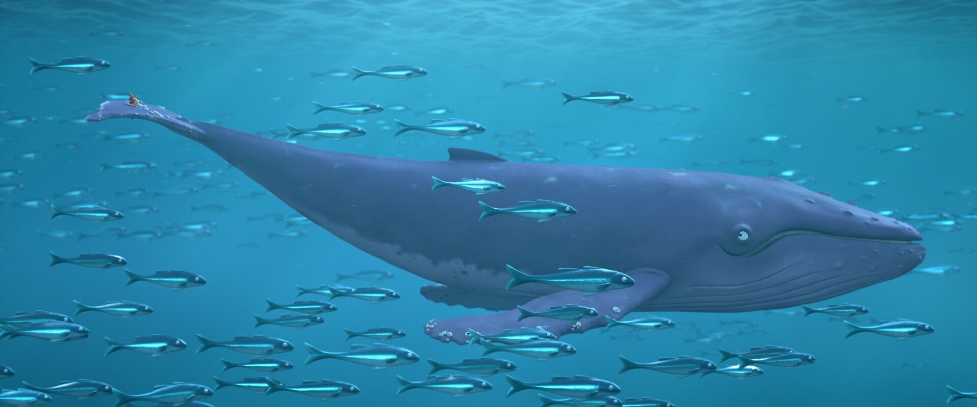 The Snail and the Whale