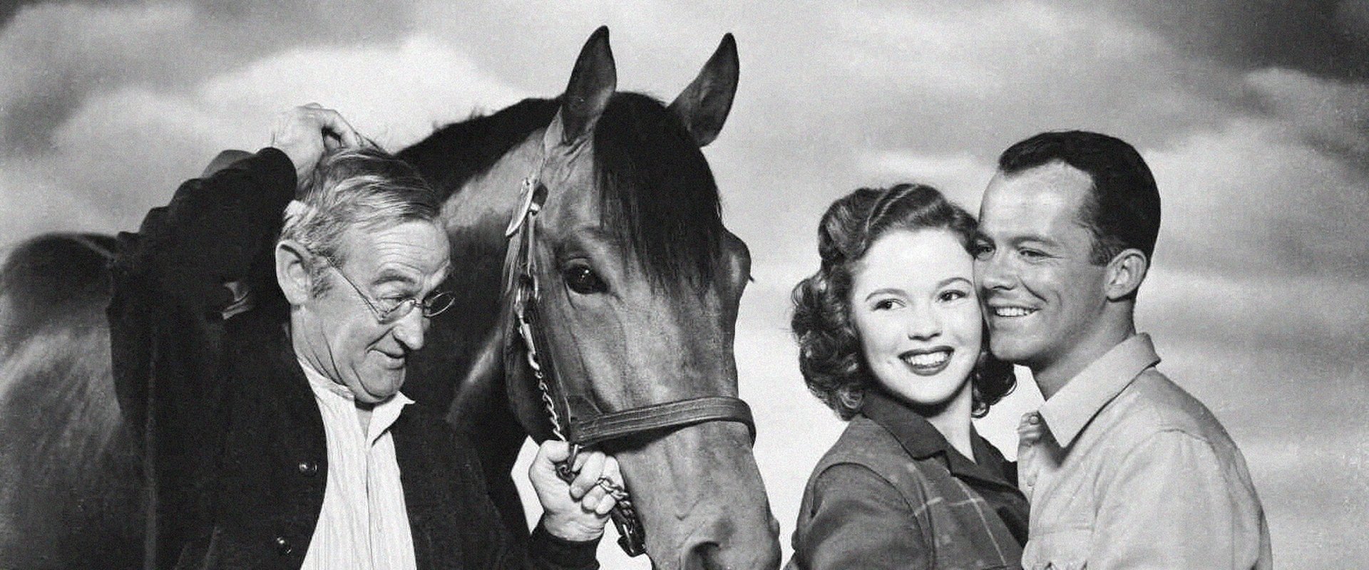 The Story of Seabiscuit