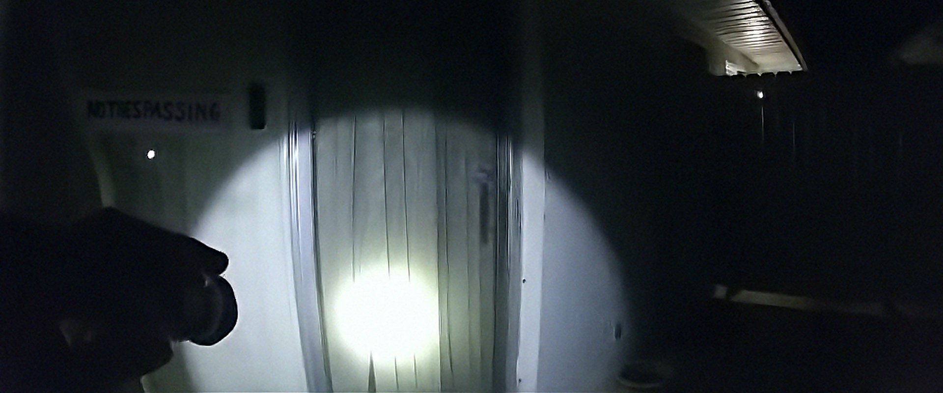 The Perfect Neighbor