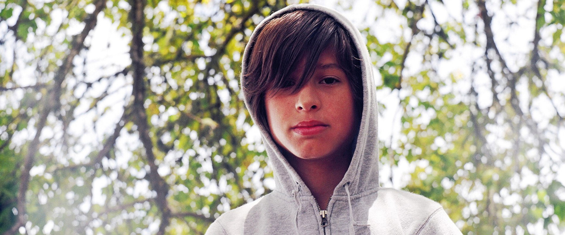 Wild Tigers I Have Known's banner image