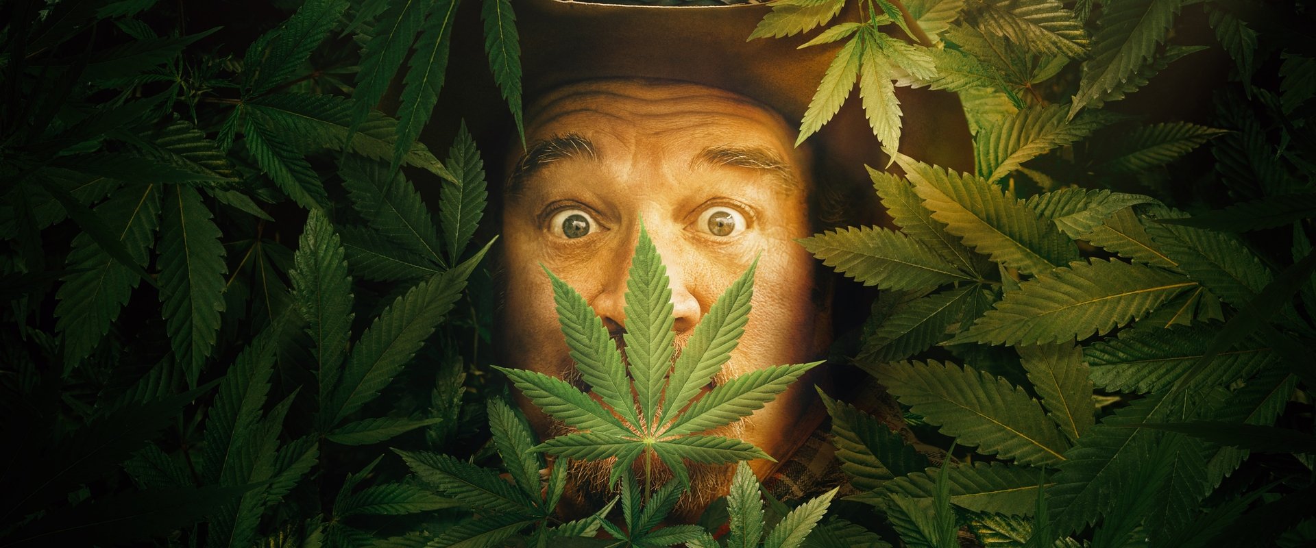 Growing Belushi