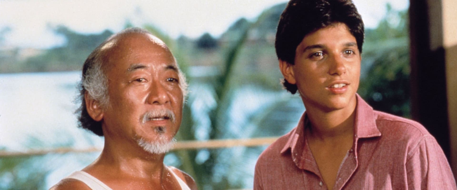 Karate Kid II - mästarprovet