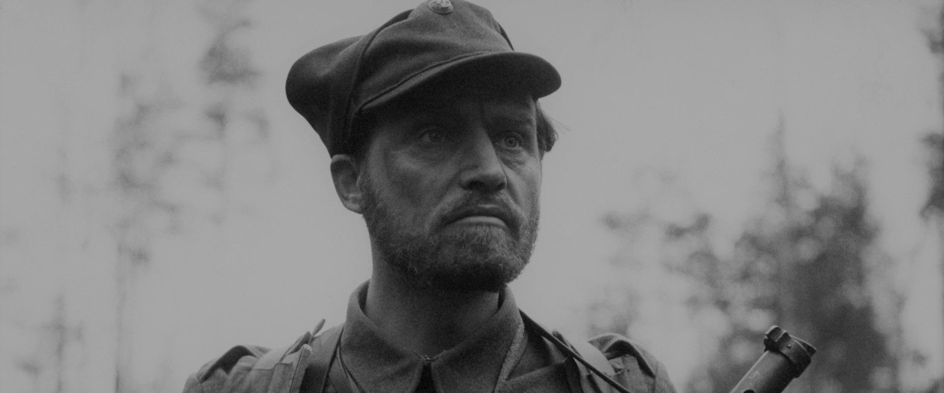 Commando Assault's banner image