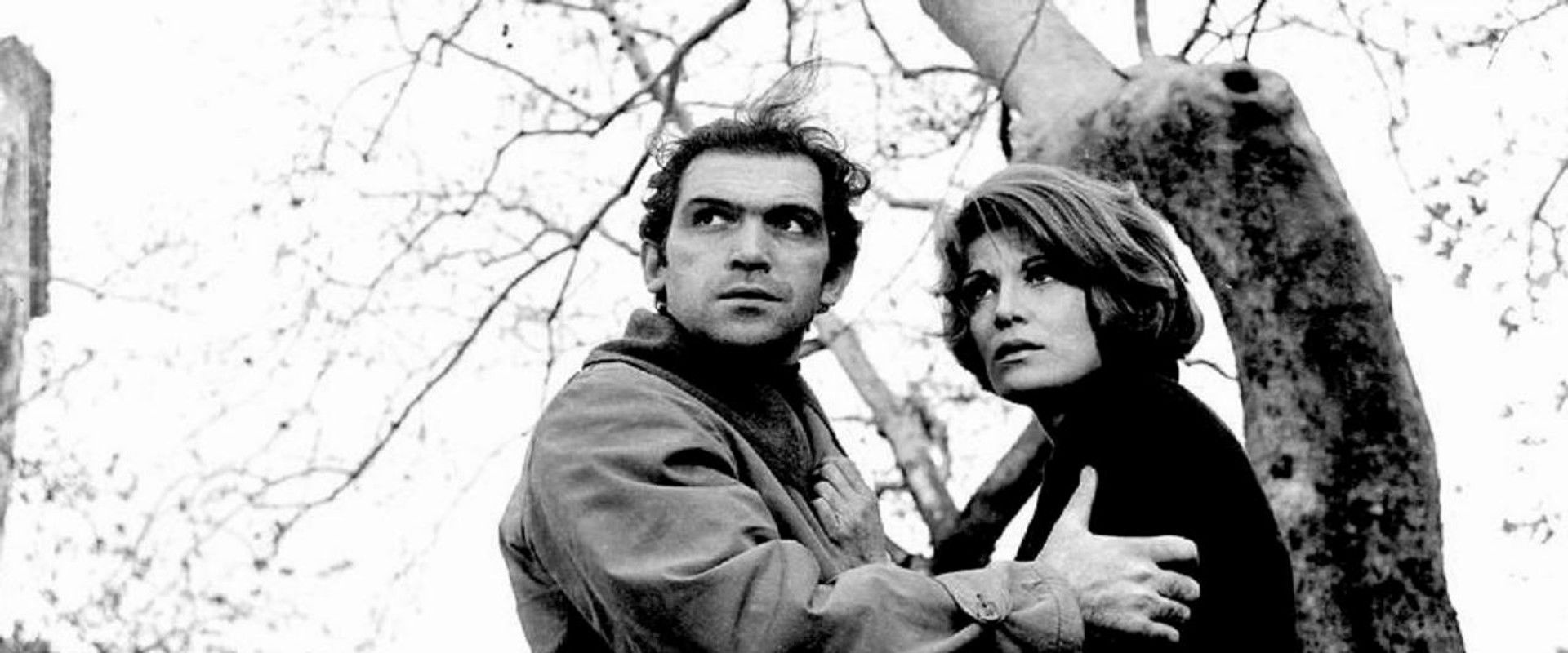 In the name of the law's banner image