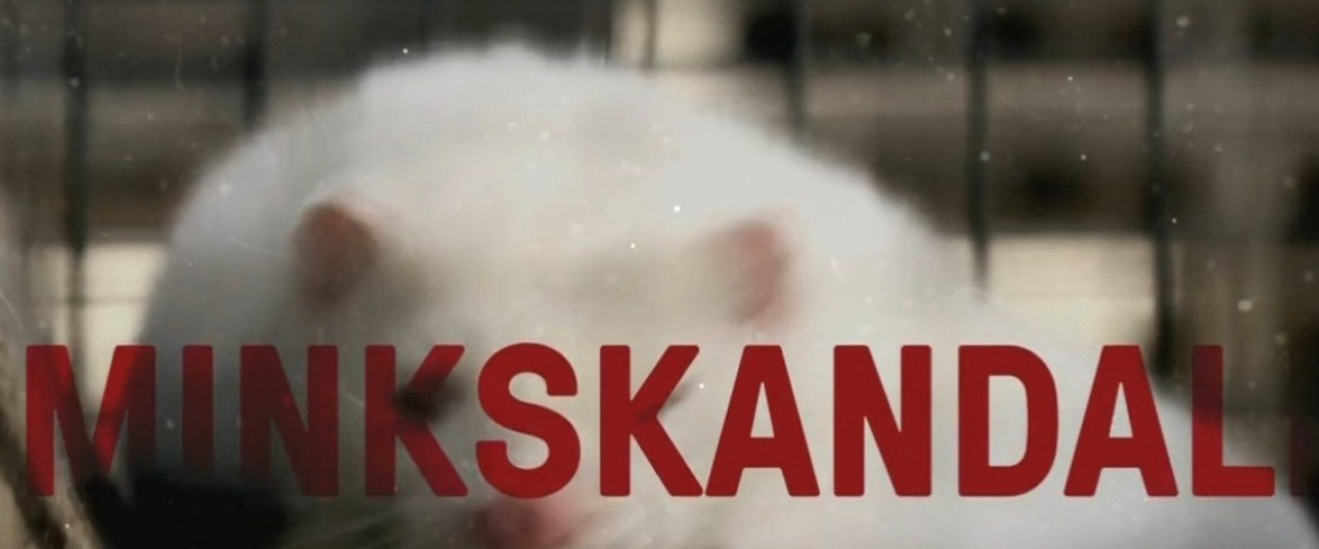 Minkskandalen - Afgørelsens time's banner image