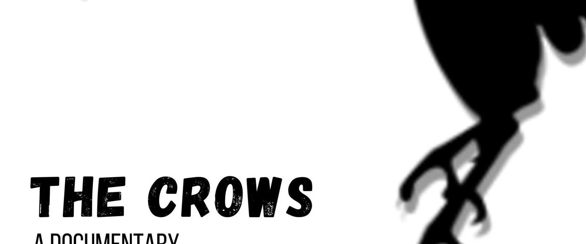 The Crows's banner image