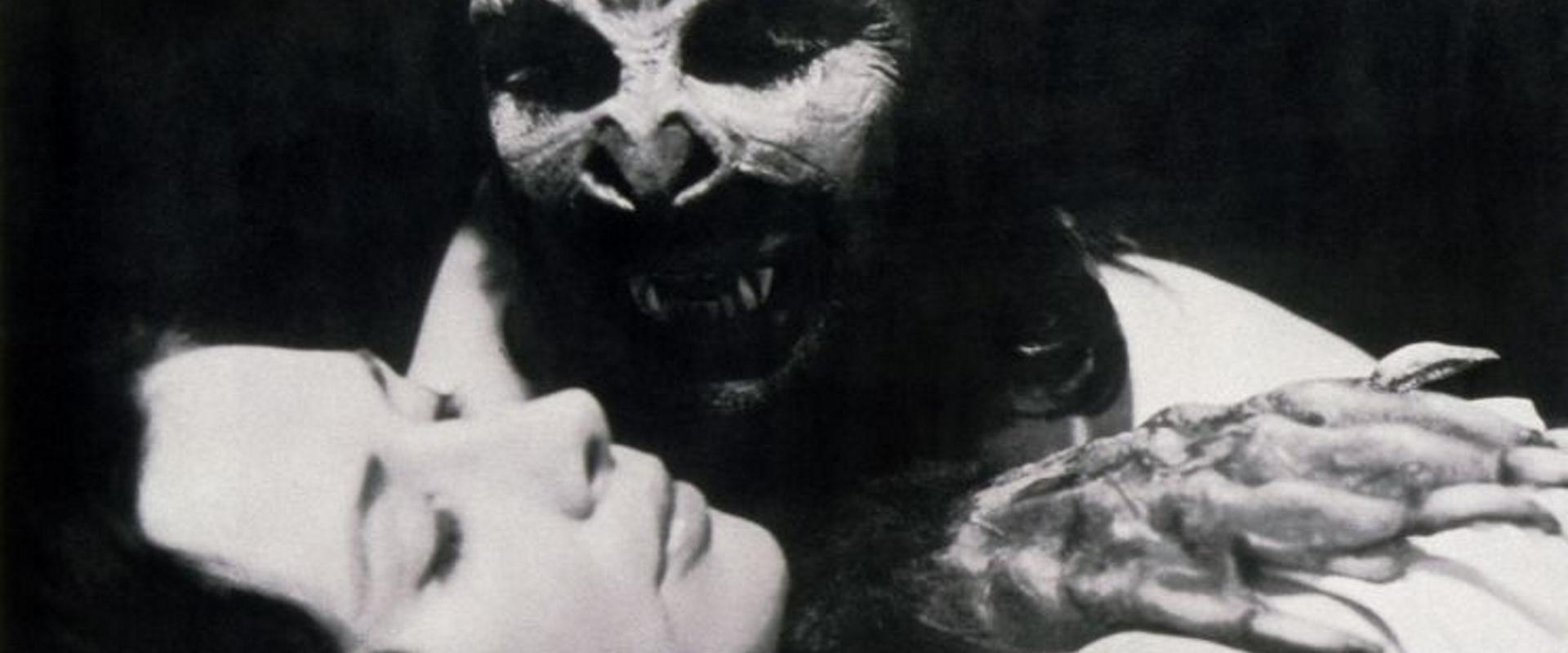 The Bat People