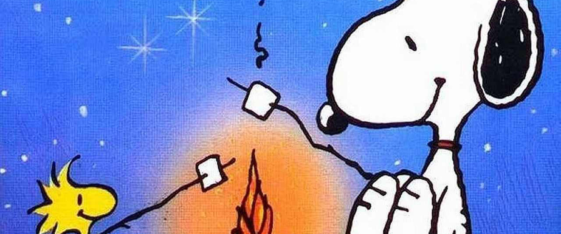 Snoopy cane contestatore