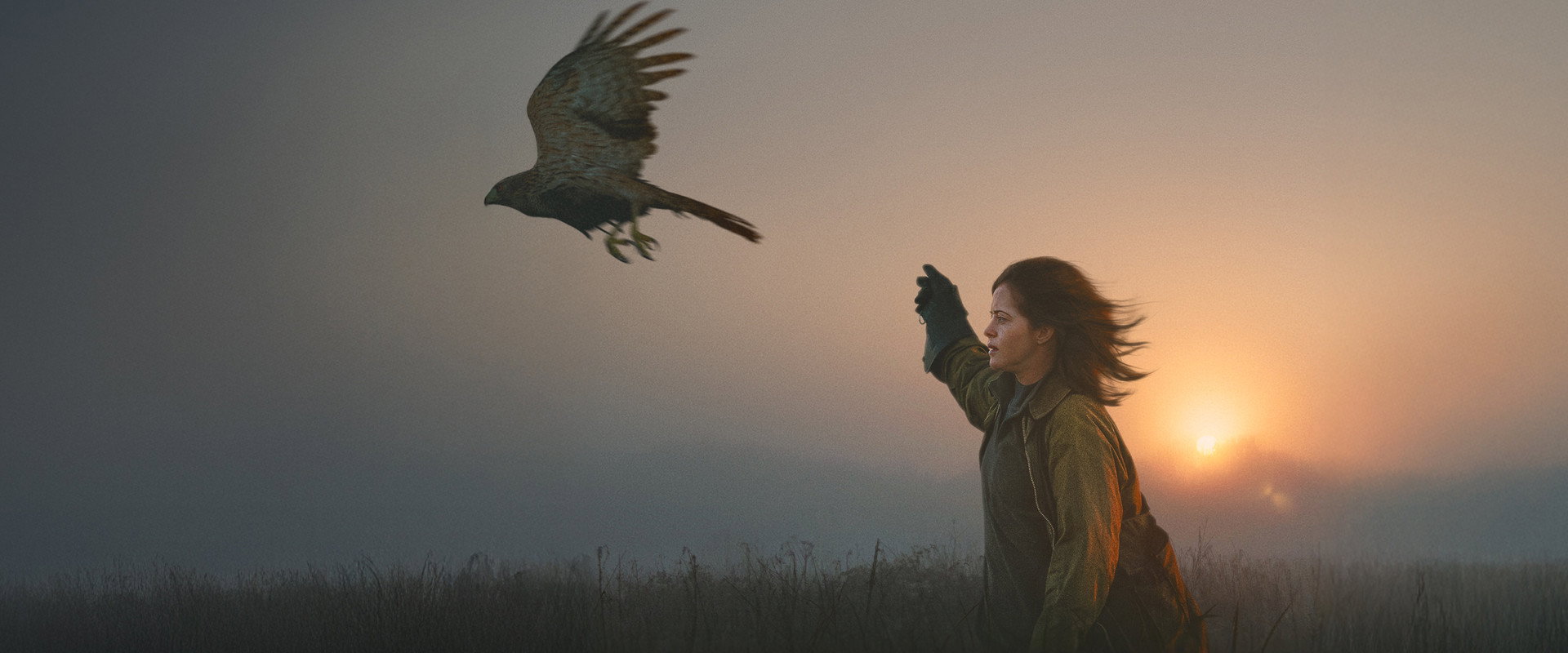 H Is for Hawk — imagen panoramica