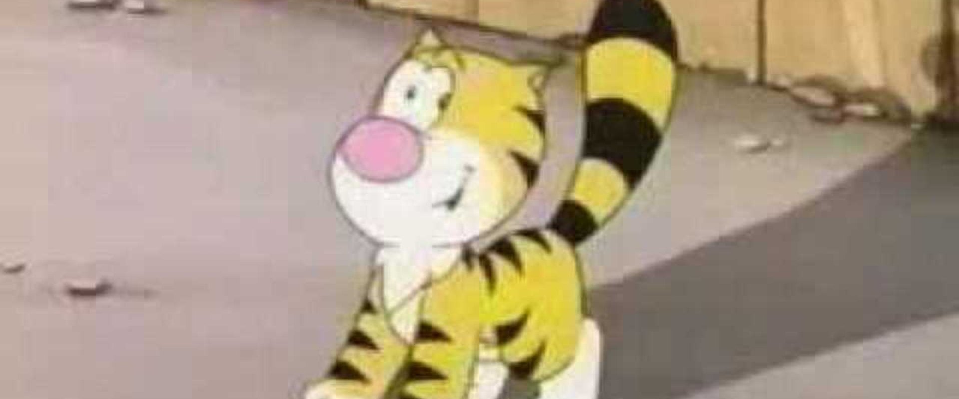 Billy the Cat, dans la peau d'un chat