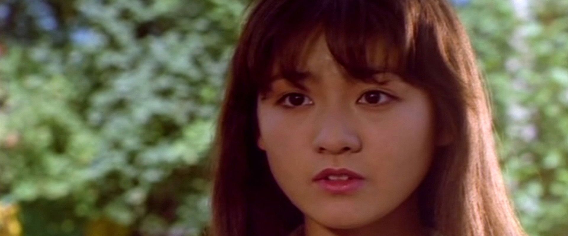 Do You Like Afternoons After a Storm?'s banner image