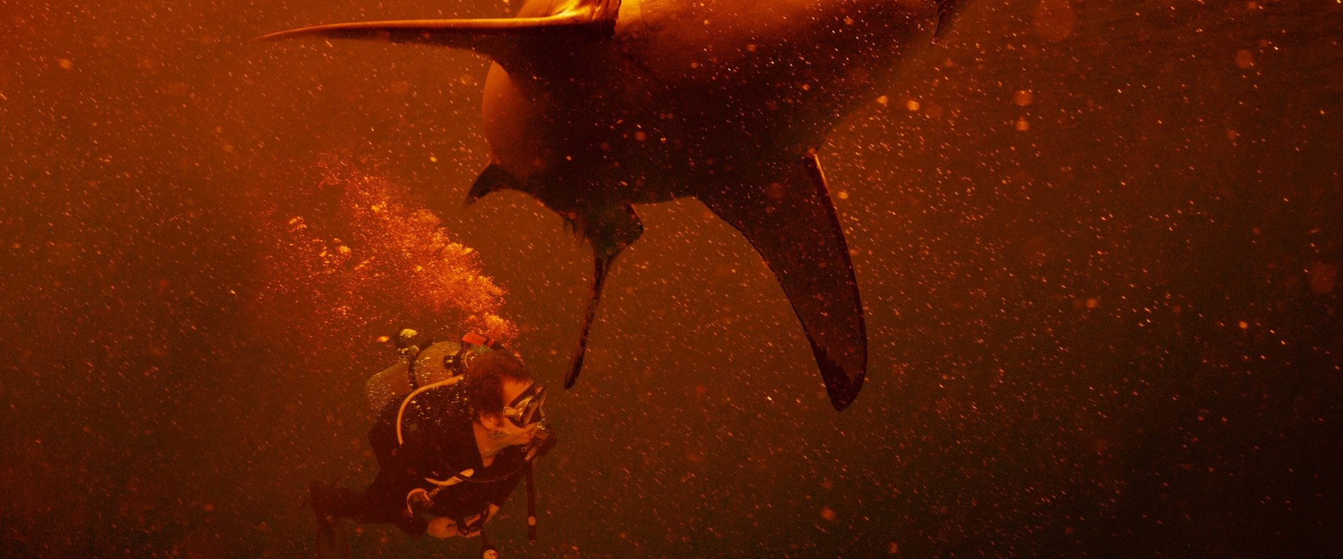 Sharkcano: Hawaii